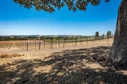 Mission Vineyard Barn