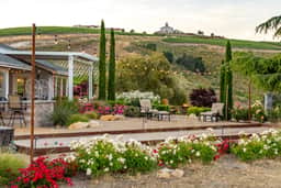 La Maison du Vin