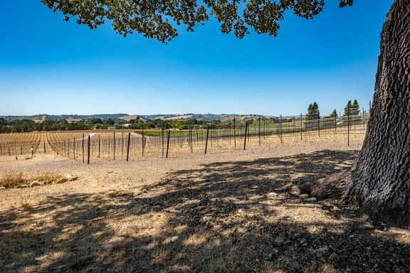 Mission Vineyard Barn