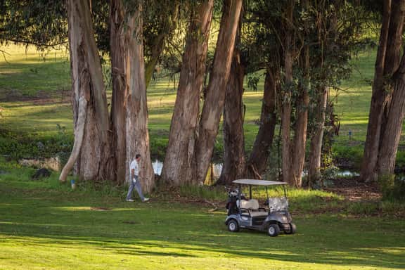 The Fairways